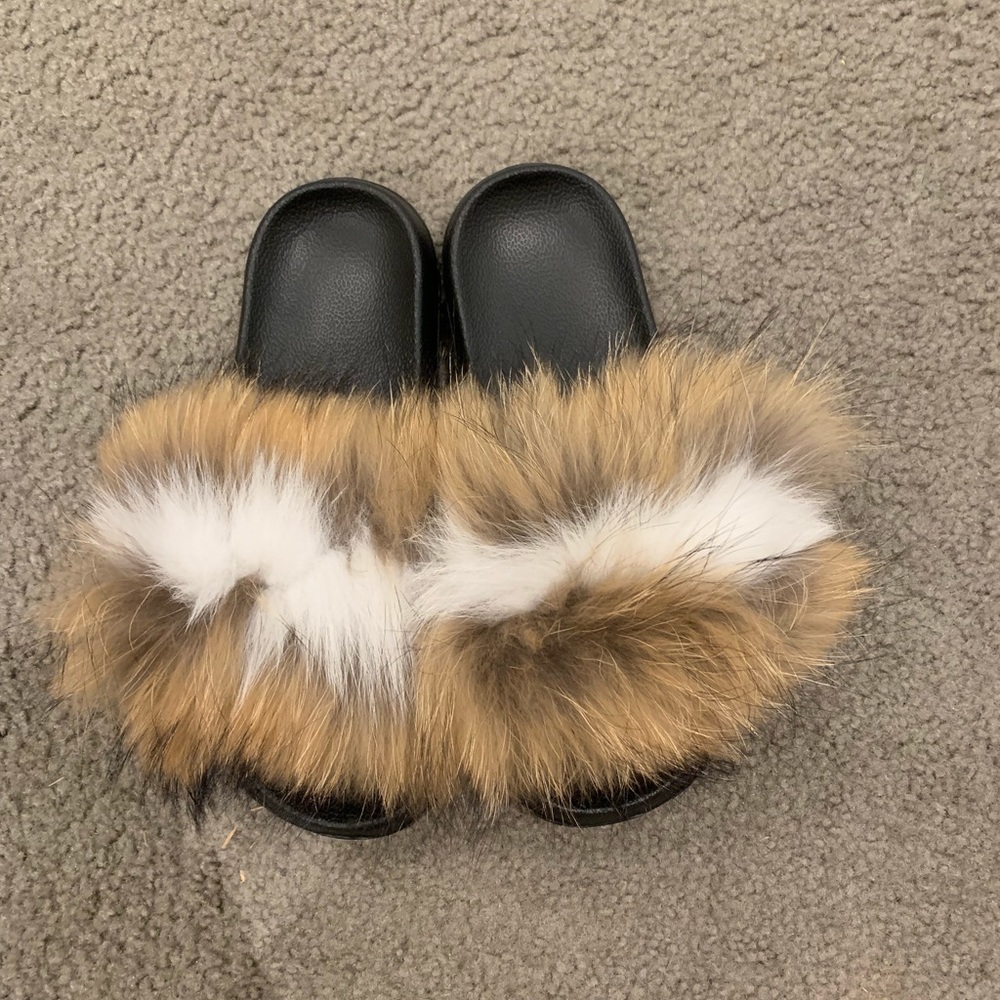 Slides